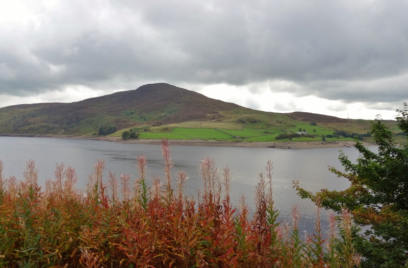 Another pretty picnic spot beside Llyn Celyn