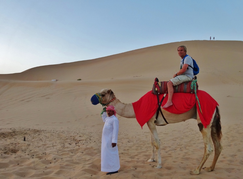 Camel riding at walking pace