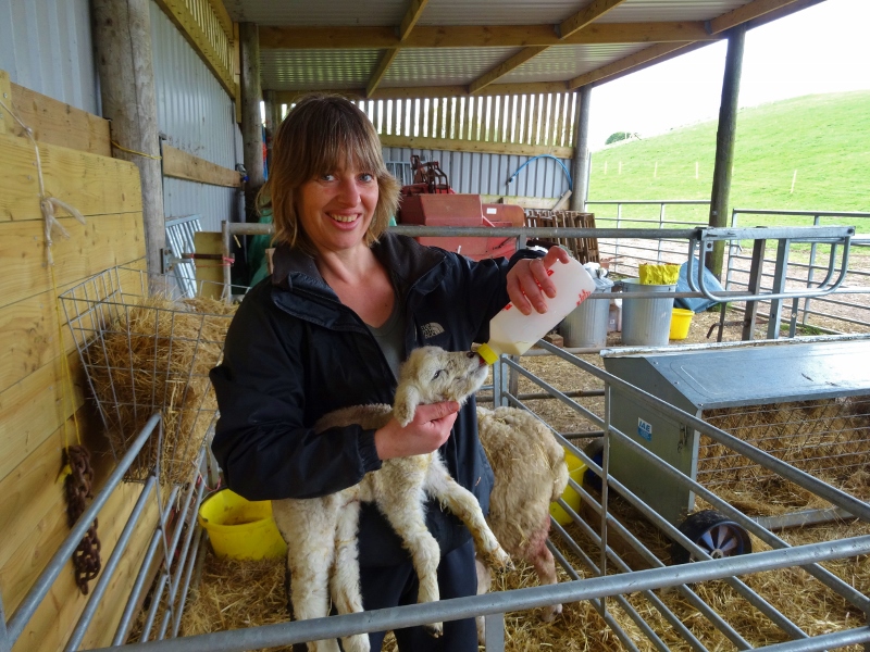 Neroli feeding one of the hungry triplets