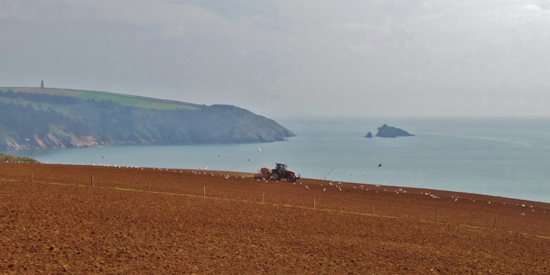 On the SW Coastal Path to Dartmouth