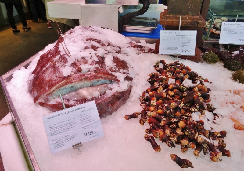  Monkfish and barnacles