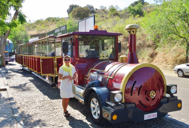 Tren Turistico and trendy passenger