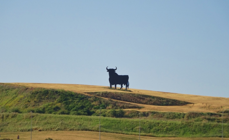 High on a hill was a lonely giant bull