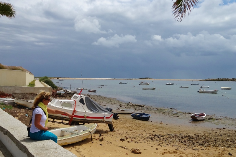  Watching dancing crabs in Cascela Velha