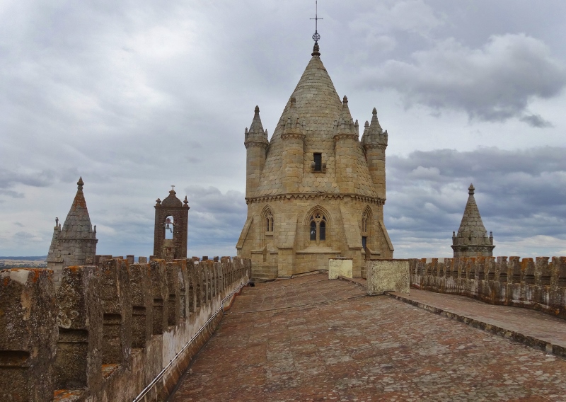 On the cathedral roof