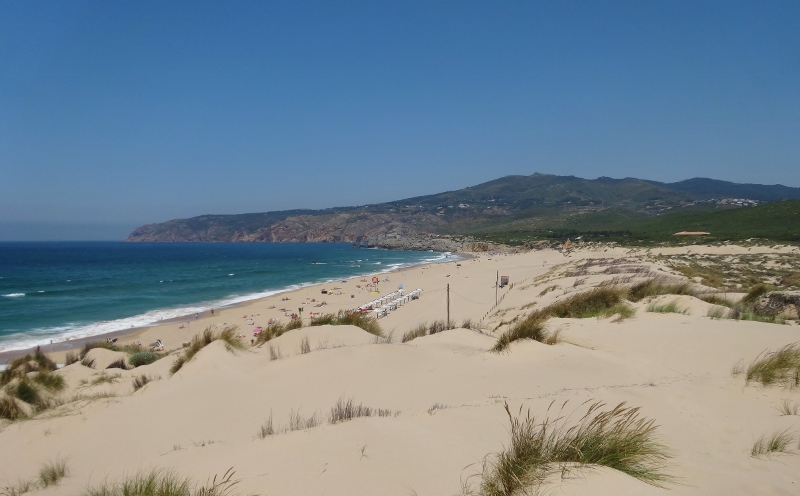 Sand dunes above the beautiful beach