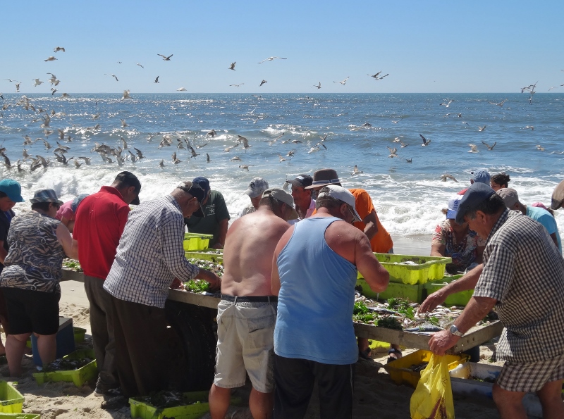 All hands on deck