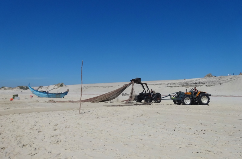 Tractors spreading the nets