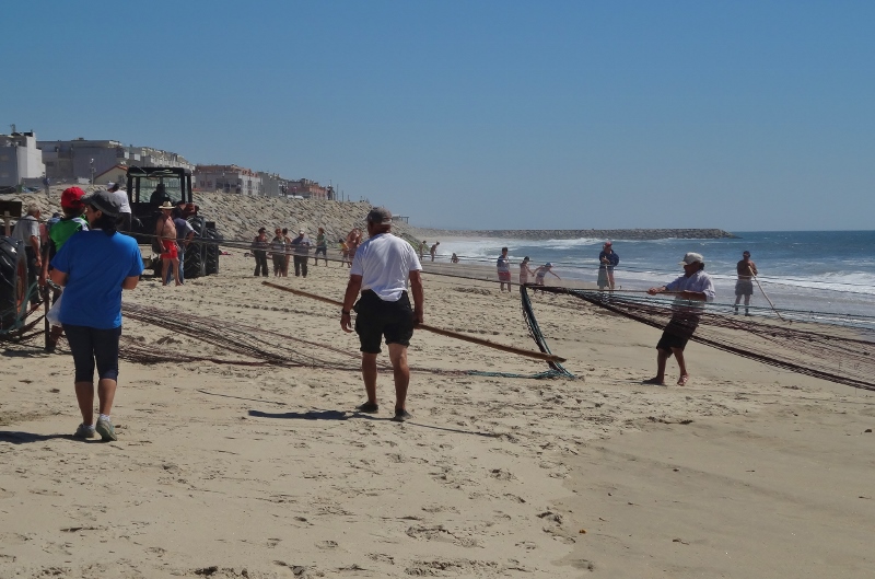Pulling in the nets