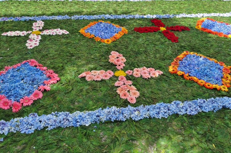 DSC02744 Flower patterns (800x530)