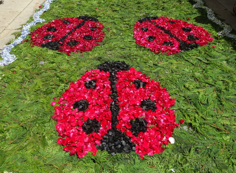 Rose petal and charcoal ladybirds