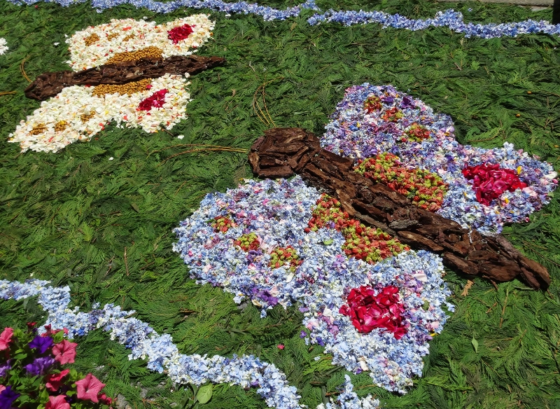 Flower butterflies 