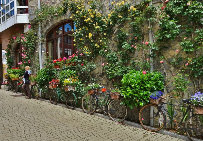 Bicycle garden in Riaño