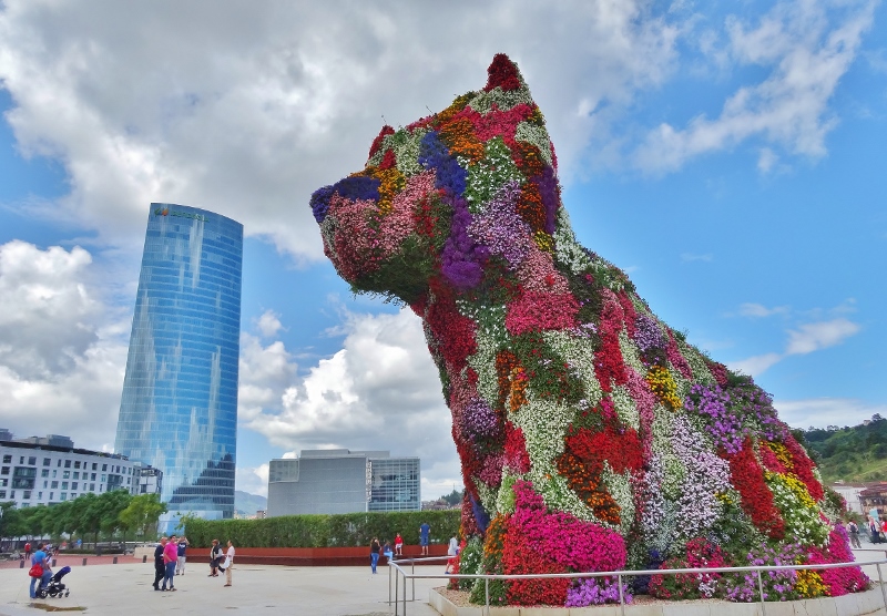 Puppy in Bilbao 