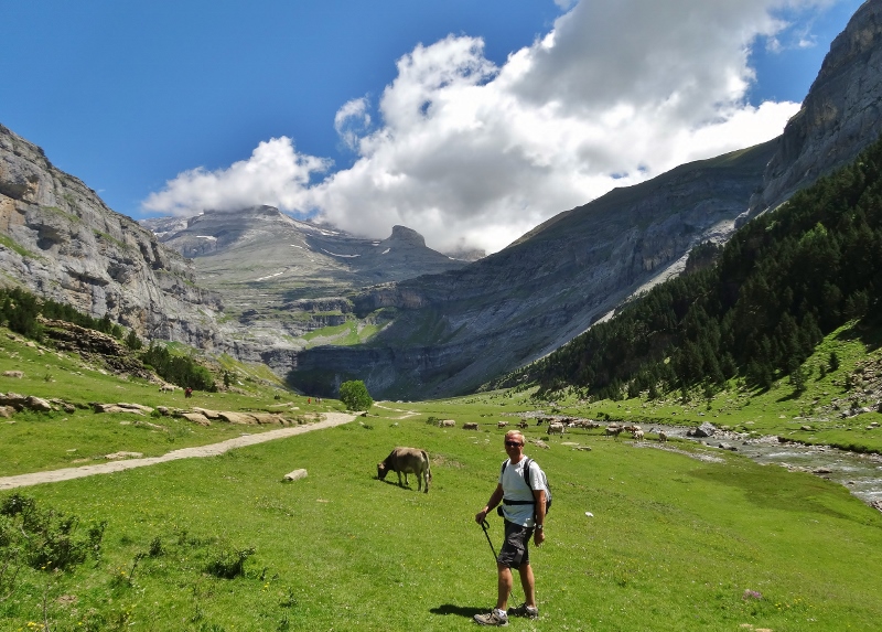 DSC03260The valley opens up and a cow....
