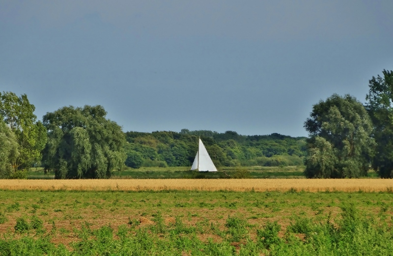 Sailing across the ....fields.... in Norfolk