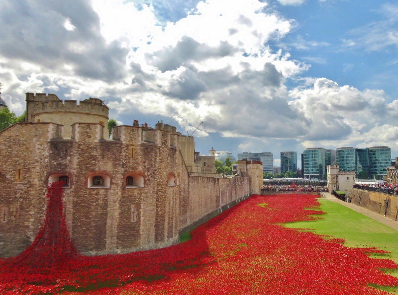Poppies pouring out of the Tower of London
