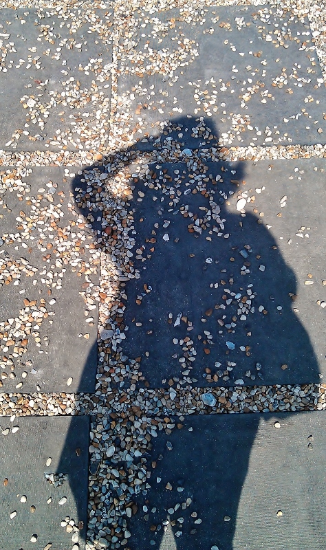  Just a shadow of myself....