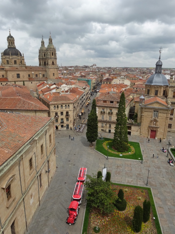 View from the roof of the Cathedral Nueva 