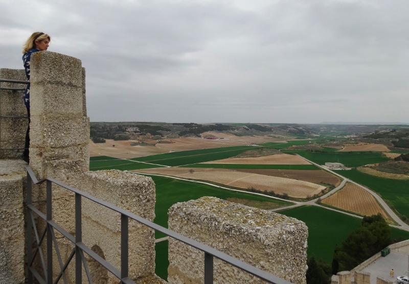 A view from the top of the tower