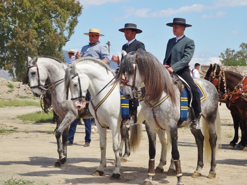 Spanish style on a horse