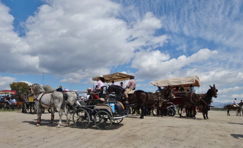 and the carriages