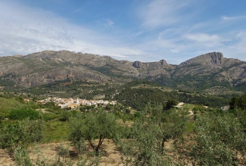 Looking back at Alcoleja