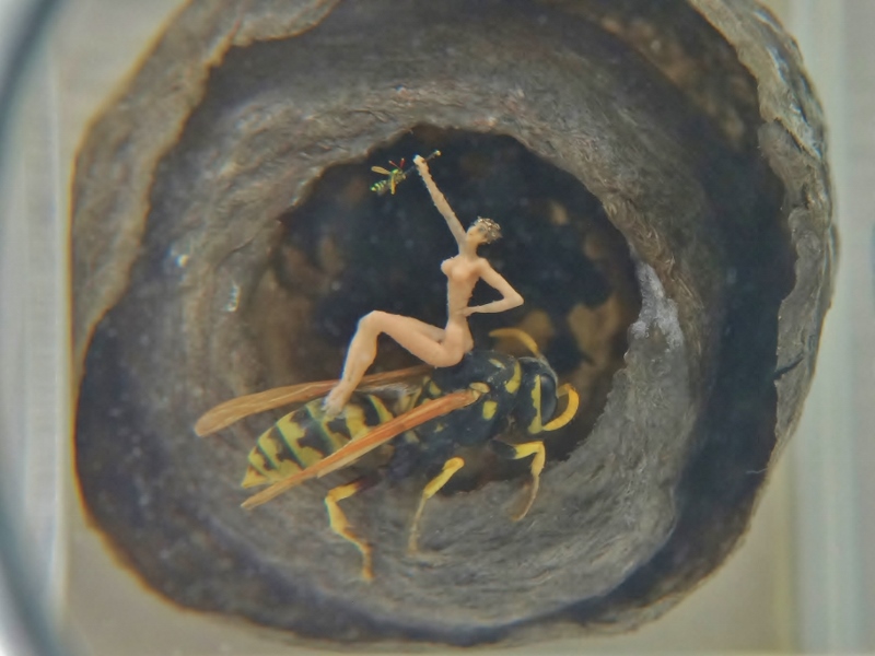 A lady on a real wasp