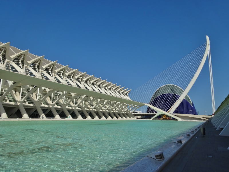 The Museo de las Ciencias at the Ciudad De Las Artes Y Las Ciencias