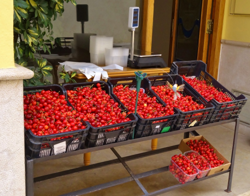 Cherries at Sant Mateau