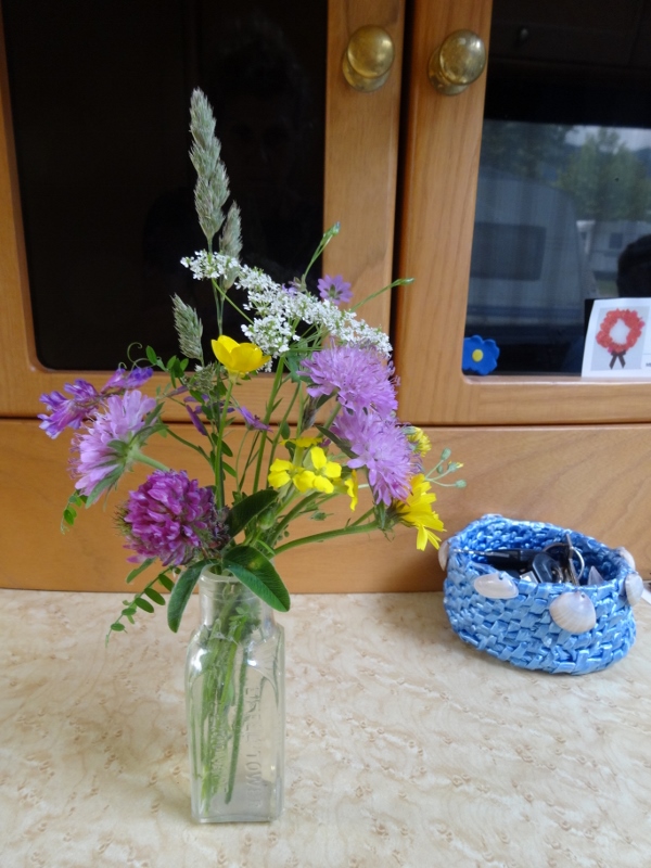 Wild flowers or weeds.....