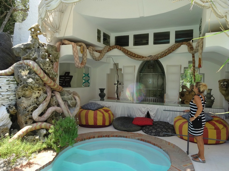 The swimming pool
