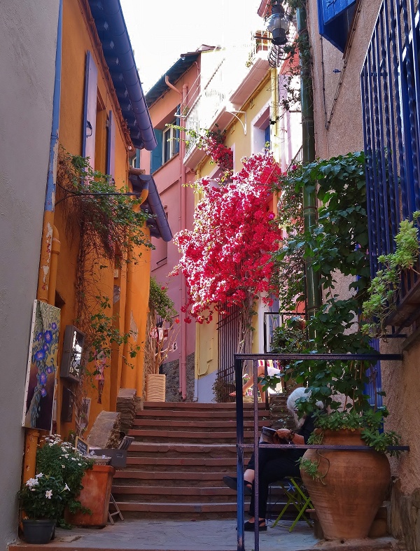 Paintings and Bougainvillea in Collioure