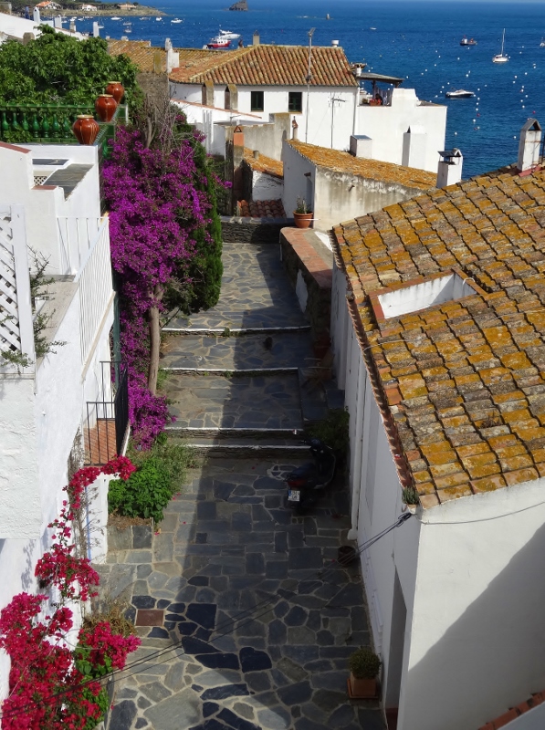 Beautiful bougainvillea in Cadaques
