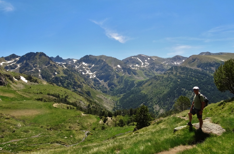 Still only just above the tree line