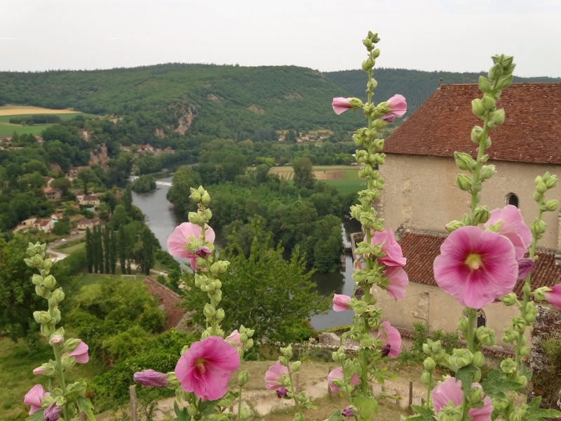Hollyhocks and the River Lot