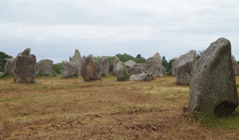 The Carnac Alignments