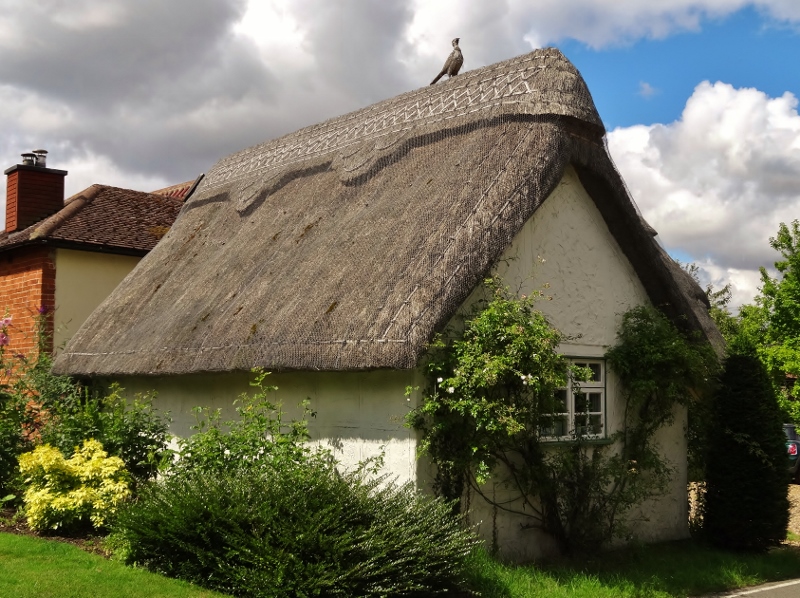 Thatched cottage in Great Chishill, Cambridgeshire