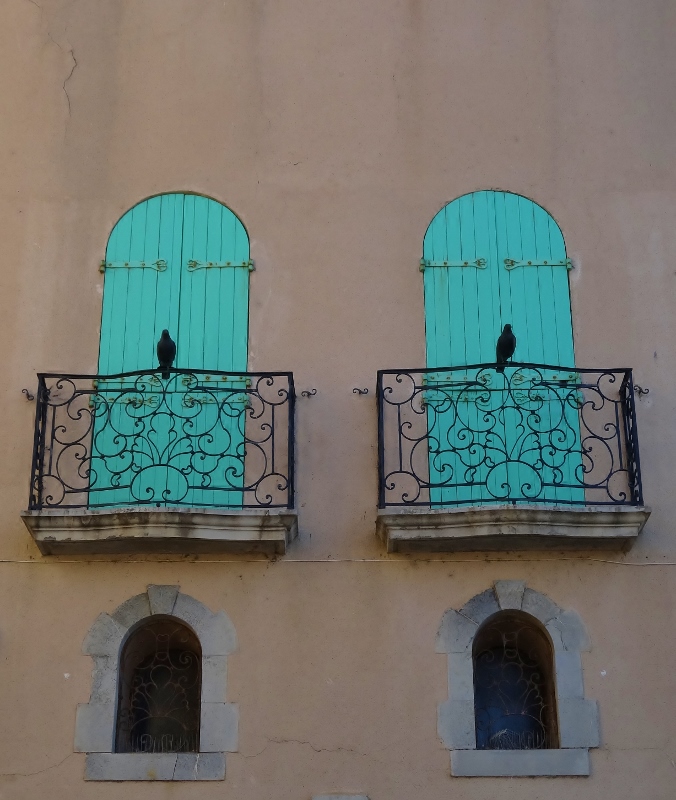Birds on balconies in Collioure