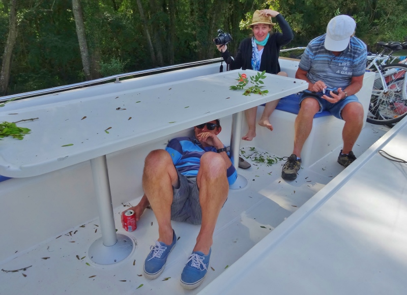 Pauls position at the end of Terrys tree shredding incident