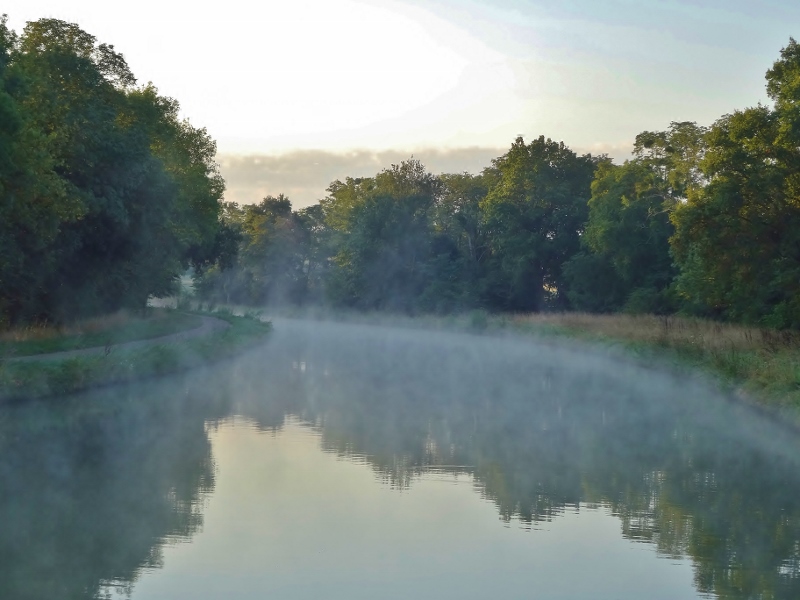 Early morning mist on the canal