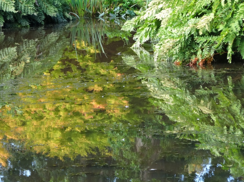 My Monet style version of a pond in Saville Gardens