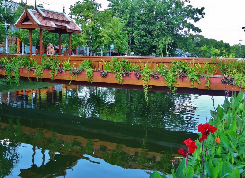 Contemplation on a bridge over the moat at Chiang Mai Old Town