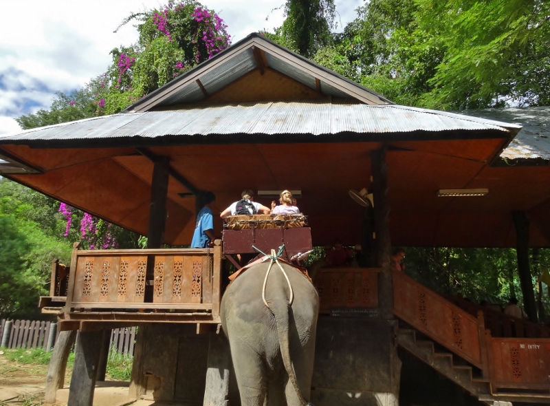 Ready for unloading at Mae Sa Elephant Camp