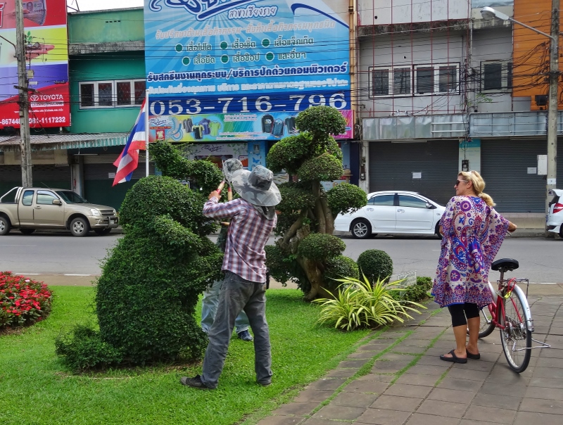 Cycling past a neat bit of topiary in King Mengrai Park Chiang Mai