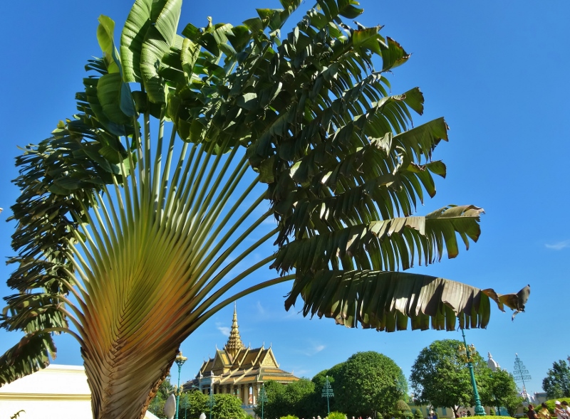The Cambodian Royal Palace in Phnom Penh