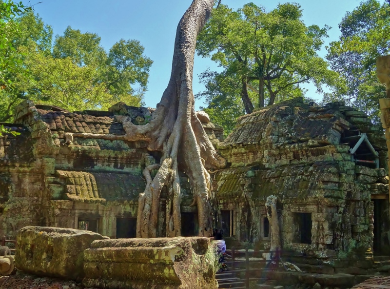 Ta Prohm