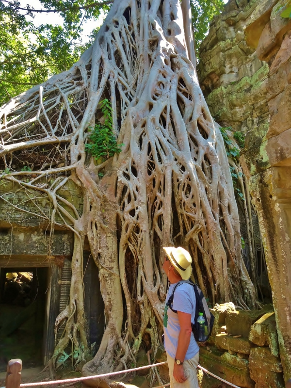 Ta Prohm , Angkor