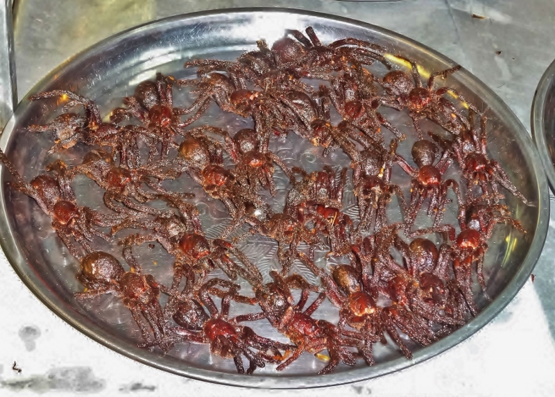 Crispy deep fried tarantulas for sale at a Siem Reap market stall