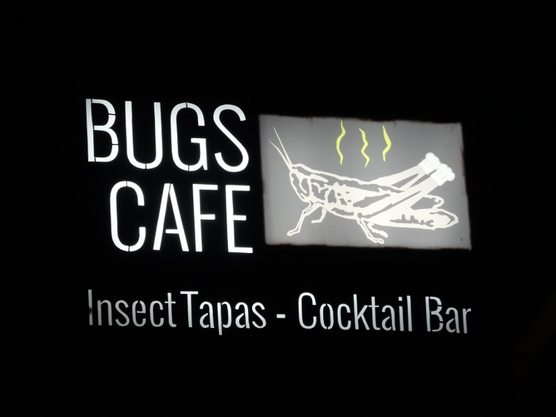 It was a real café near our hotel in Siem Reap